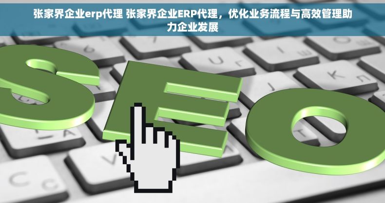 张家界企业erp代理 张家界企业ERP代理，优化业务流程与高效管理助力企业发展