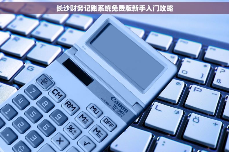 长沙财务记账系统免费版新手入门攻略