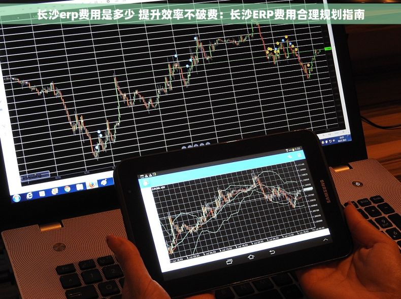 长沙erp费用是多少 提升效率不破费：长沙ERP费用合理规划指南