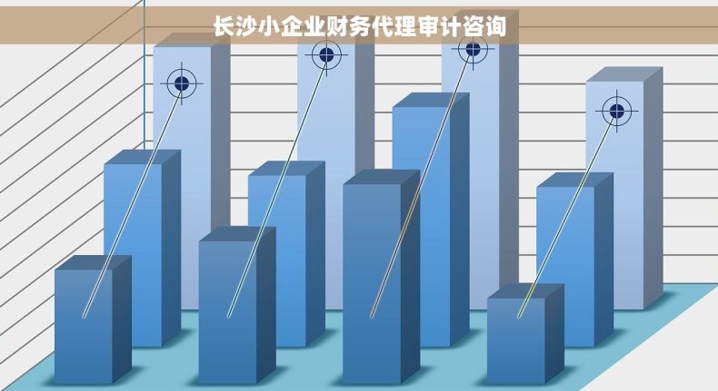 长沙小企业财务代理审计咨询