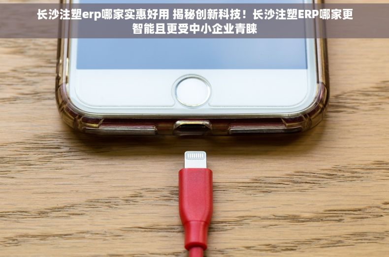 长沙注塑erp哪家实惠好用 揭秘创新科技！长沙注塑ERP哪家更智能且更受中小企业青睐