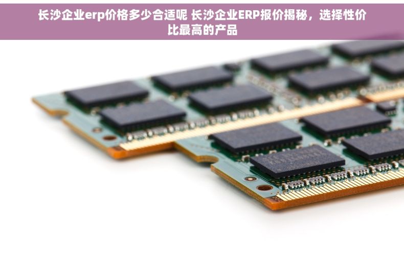 长沙企业erp价格多少合适呢 长沙企业ERP报价揭秘，选择性价比最高的产品