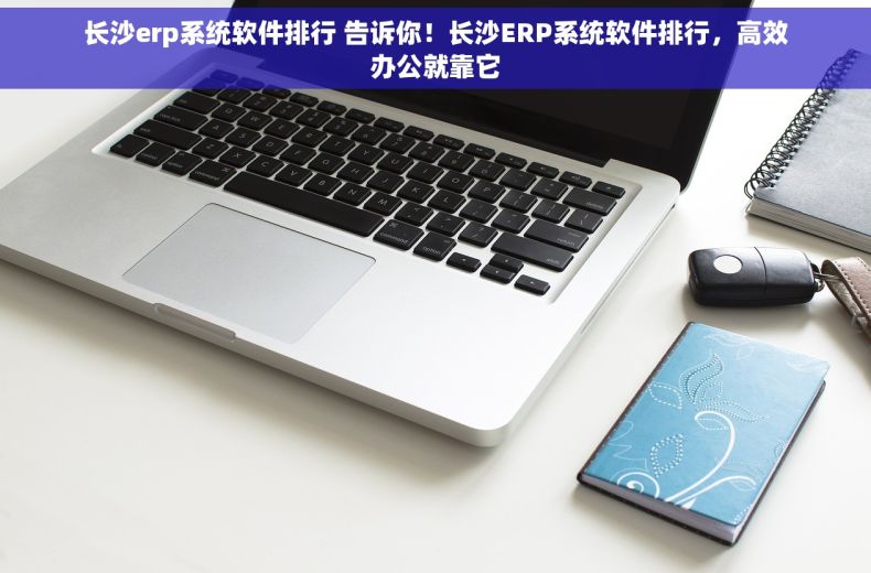 长沙erp系统软件排行 告诉你！长沙ERP系统软件排行，高效办公就靠它