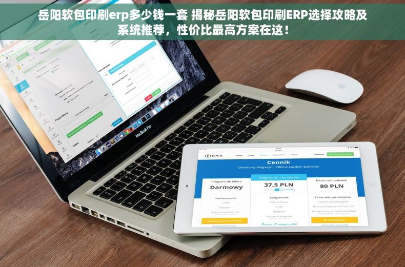 岳阳软包印刷erp多少钱一套 揭秘岳阳软包印刷ERP选择攻略及系统推荐，性价比最高方案在这！