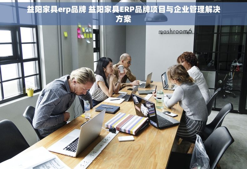 益阳家具erp品牌 益阳家具ERP品牌项目与企业管理解决方案