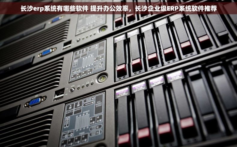 长沙erp系统有哪些软件 提升办公效率，长沙企业级ERP系统软件推荐