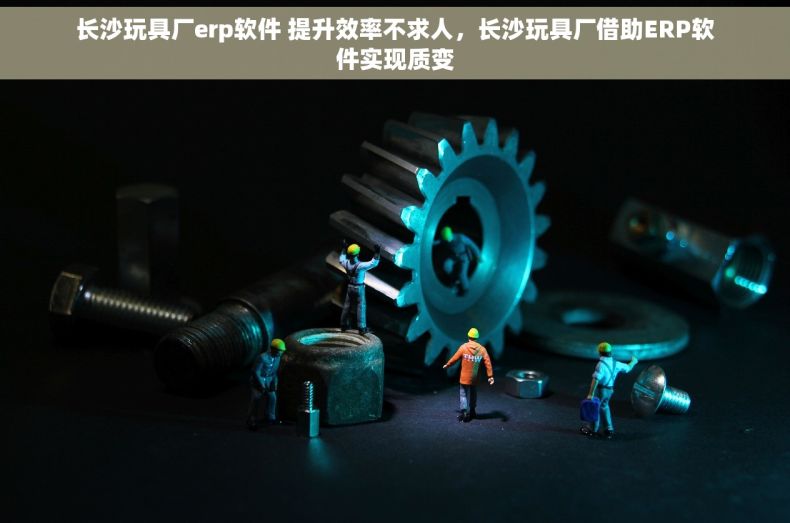 长沙玩具厂erp软件 提升效率不求人，长沙玩具厂借助ERP软件实现质变