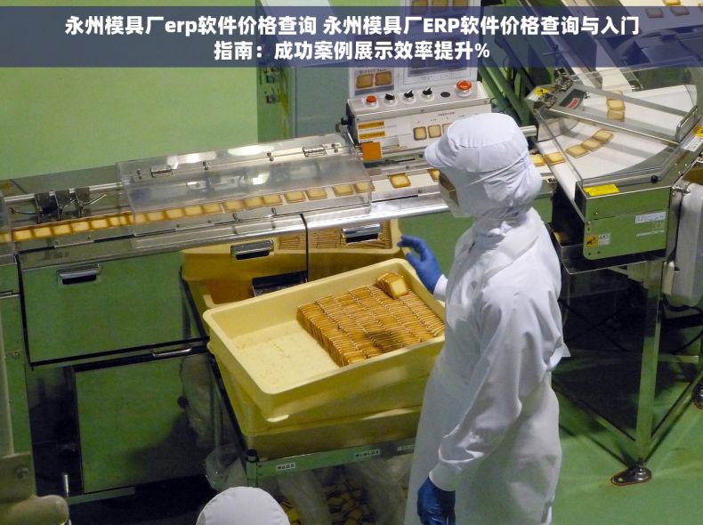 永州模具厂erp软件价格查询 永州模具厂ERP软件价格查询与入门指南：成功案例展示效率提升%