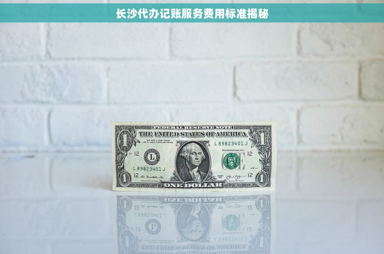 长沙代办记账服务费用标准揭秘