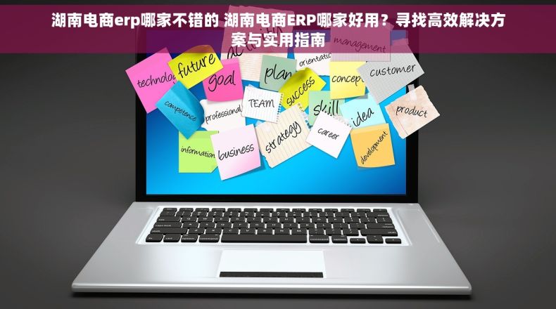湖南电商erp哪家不错的 湖南电商ERP哪家好用？寻找高效解决方案与实用指南