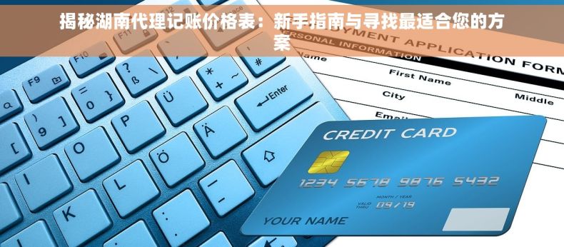 揭秘湖南代理记账价格表：新手指南与寻找最适合您的方案