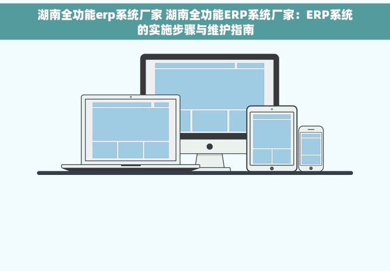 湖南全功能erp系统厂家 湖南全功能ERP系统厂家：ERP系统的实施步骤与维护指南