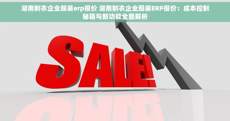 湖南制衣企业服装erp报价 湖南制衣企业服装ERP报价：成本控制秘籍与新功能全面解析