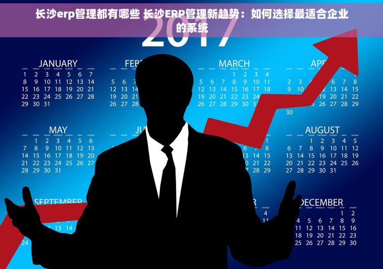 长沙erp管理都有哪些 长沙ERP管理新趋势：如何选择最适合企业的系统