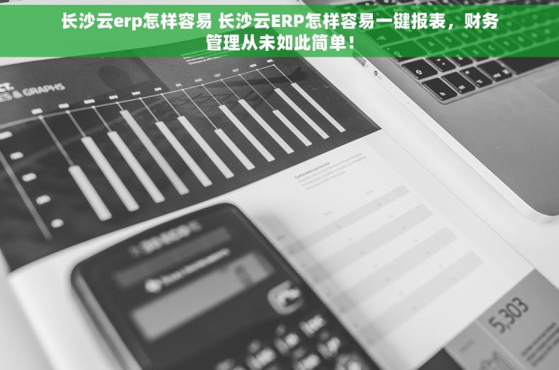 长沙云erp怎样容易 长沙云ERP怎样容易一键报表，财务管理从未如此简单！