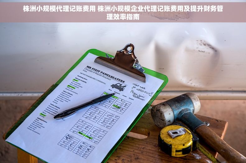 株洲小规模代理记账费用 株洲小规模企业代理记账费用及提升财务管理效率指南
