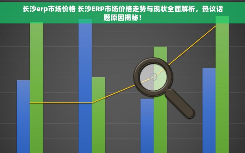 长沙erp市场价格 长沙ERP市场价格走势与现状全面解析，热议话题原因揭秘！