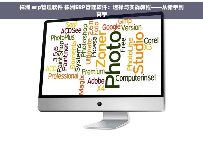 株洲 erp管理软件 株洲ERP管理软件：选择与实战教程——从新手到高手
