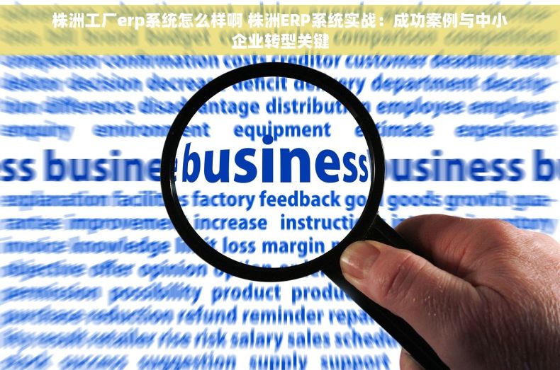 株洲工厂erp系统怎么样啊 株洲ERP系统实战：成功案例与中小企业转型关键