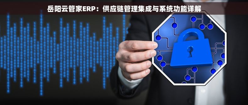岳阳云管家ERP：供应链管理集成与系统功能详解