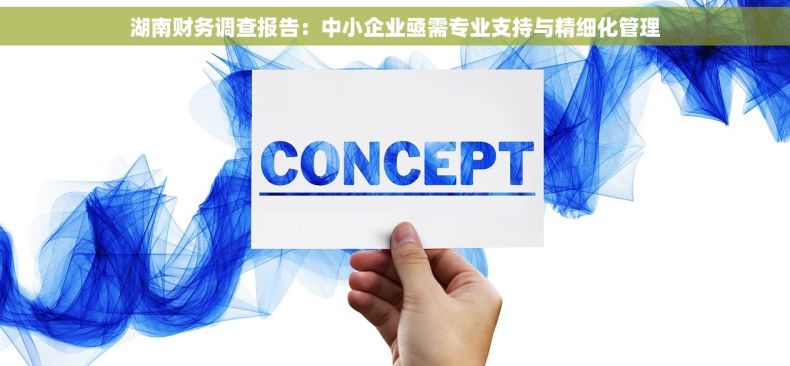 湖南财务调查报告：中小企业亟需专业支持与精细化管理