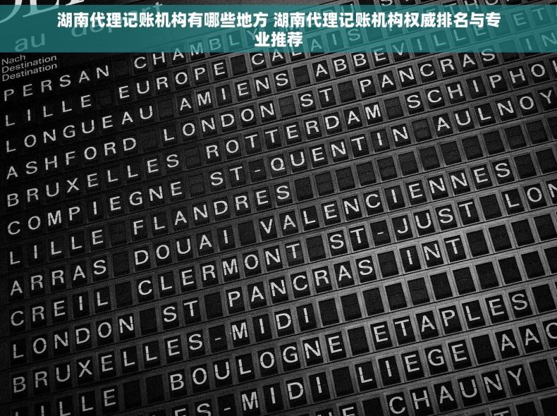 湖南代理记账机构有哪些地方 湖南代理记账机构权威排名与专业推荐