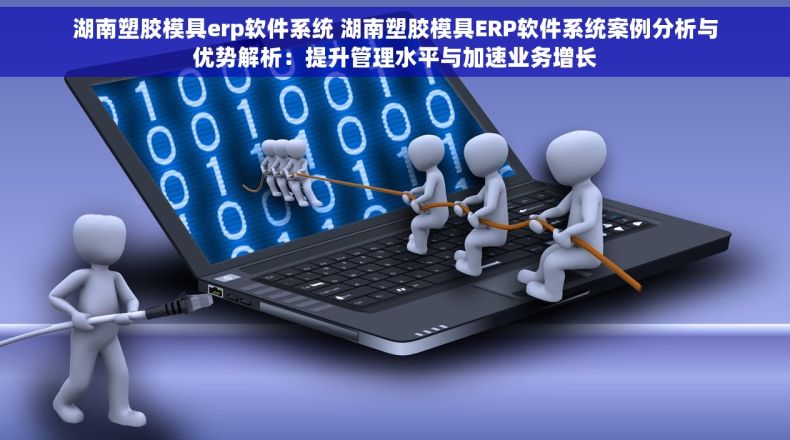 湖南塑胶模具erp软件系统 湖南塑胶模具ERP软件系统案例分析与优势解析：提升管理水平与加速业务增长