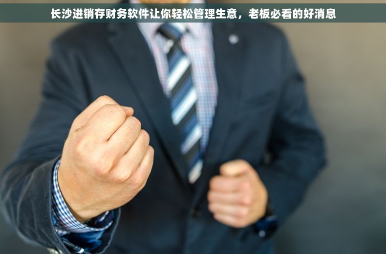 长沙进销存财务软件让你轻松管理生意，老板必看的好消息