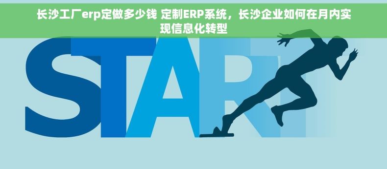 长沙工厂erp定做多少钱 定制ERP系统，长沙企业如何在月内实现信息化转型