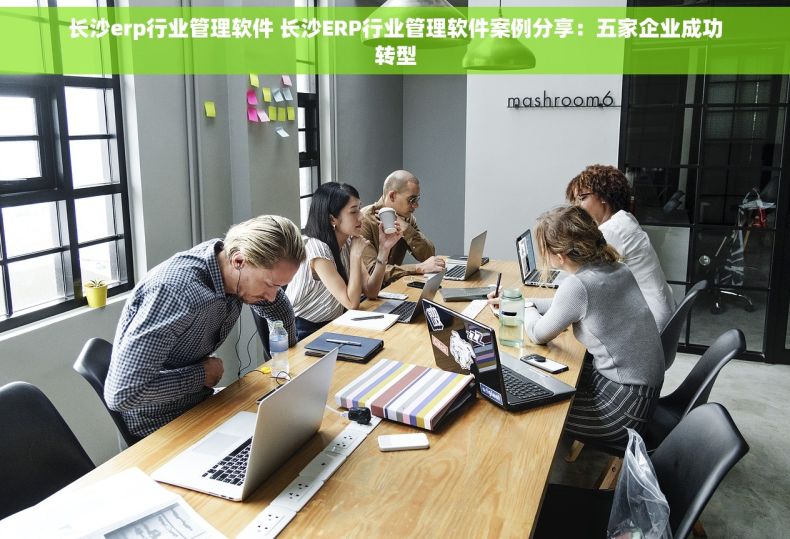 长沙erp行业管理软件 长沙ERP行业管理软件案例分享：五家企业成功转型