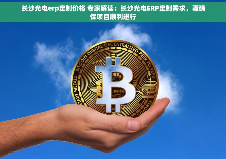 长沙光电erp定制价格 专家解读：长沙光电ERP定制需求，骤确保项目顺利进行