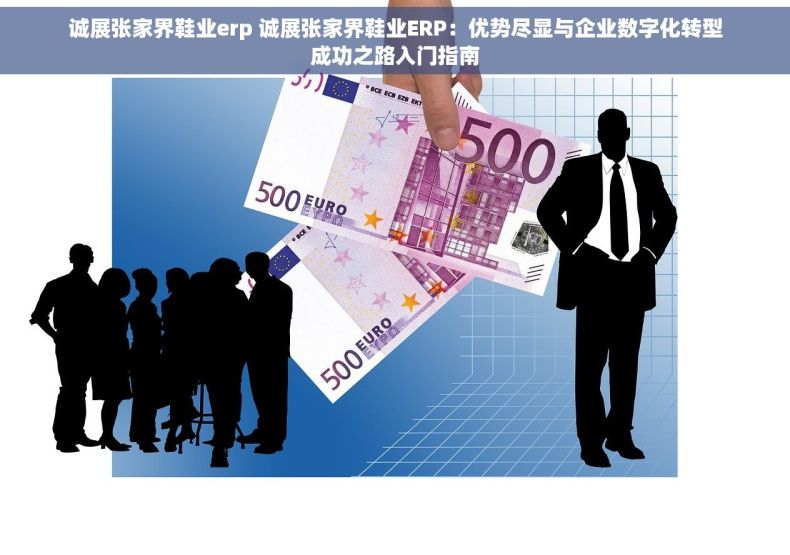 诚展张家界鞋业erp 诚展张家界鞋业ERP：优势尽显与企业数字化转型成功之路入门指南
