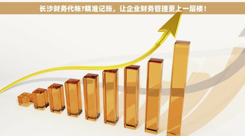 长沙财务代帐?精准记账，让企业财务管理更上一层楼！