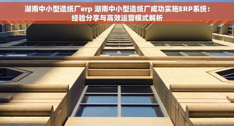 湖南中小型造纸厂erp 湖南中小型造纸厂成功实施ERP系统：经验分享与高效运营模式解析
