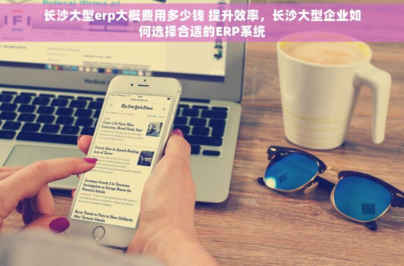 长沙大型erp大概费用多少钱 提升效率，长沙大型企业如何选择合适的ERP系统