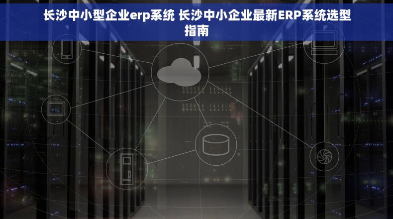 长沙中小型企业erp系统 长沙中小企业最新ERP系统选型指南