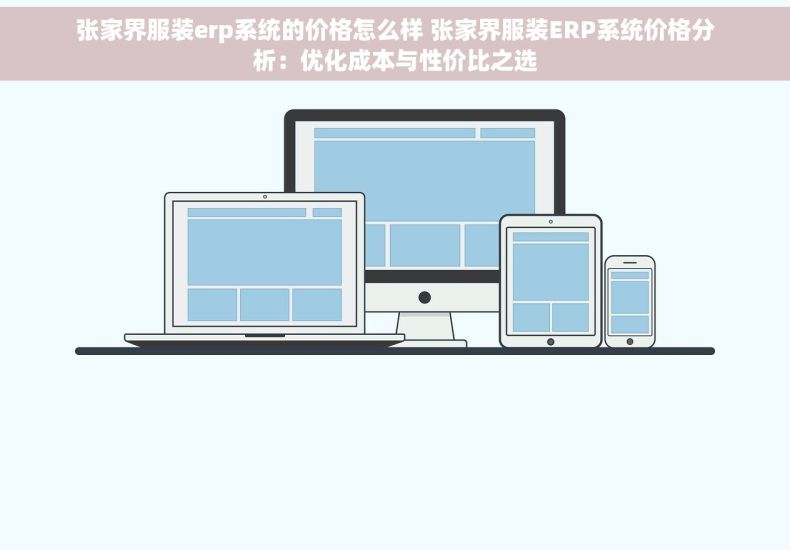 张家界服装erp系统的价格怎么样 张家界服装ERP系统价格分析：优化成本与性价比之选