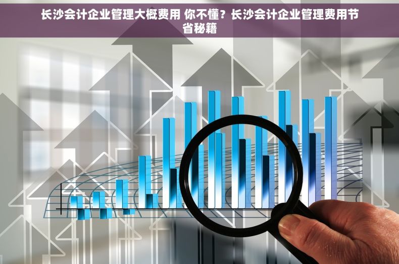 长沙会计企业管理大概费用 你不懂？长沙会计企业管理费用节省秘籍