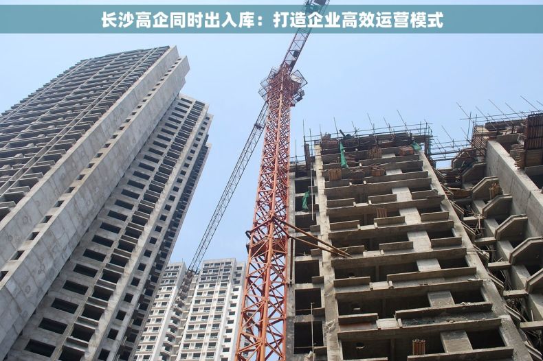 长沙高企同时出入库：打造企业高效运营模式