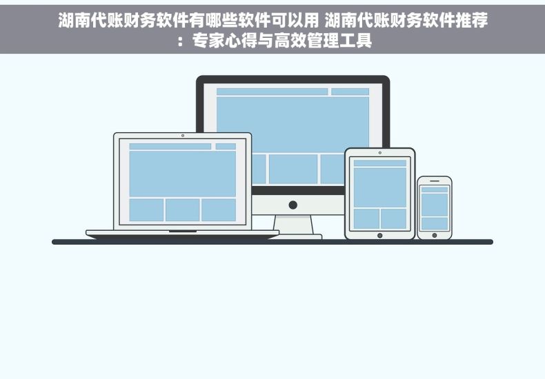 湖南代账财务软件有哪些软件可以用 湖南代账财务软件推荐：专家心得与高效管理工具