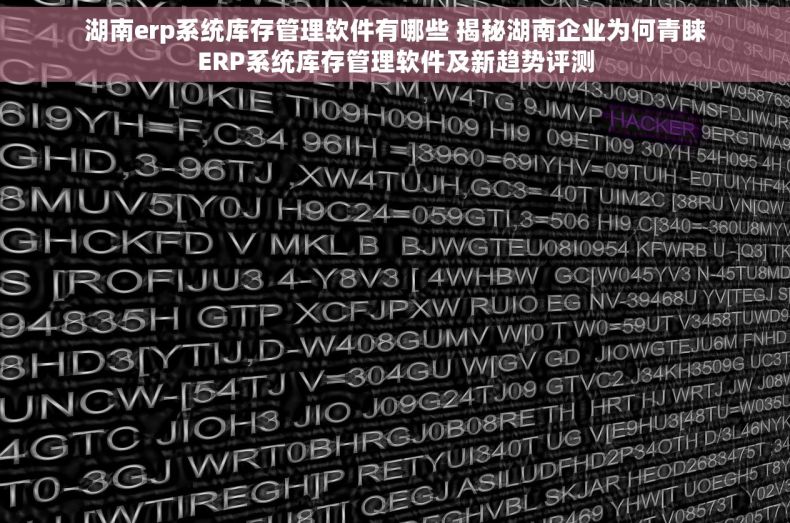 湖南erp系统库存管理软件有哪些 揭秘湖南企业为何青睐ERP系统库存管理软件及新趋势评测