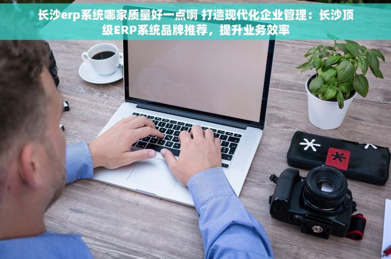 长沙erp系统哪家质量好一点啊 打造现代化企业管理：长沙顶级ERP系统品牌推荐，提升业务效率