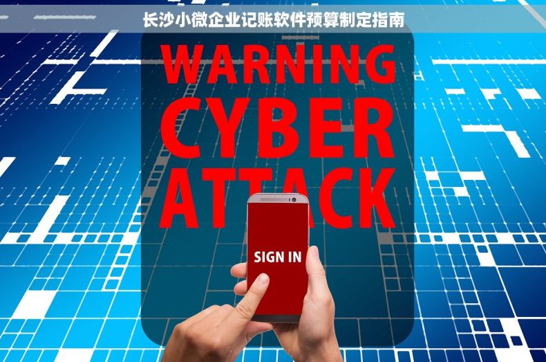 长沙小微企业记账软件预算制定指南