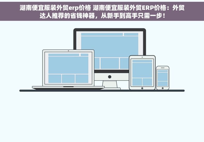 湖南便宜服装外贸erp价格 湖南便宜服装外贸ERP价格：外贸达人推荐的省钱神器，从新手到高手只需一步！