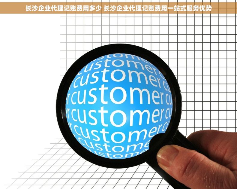 长沙企业代理记账费用多少 长沙企业代理记账费用一站式服务优势