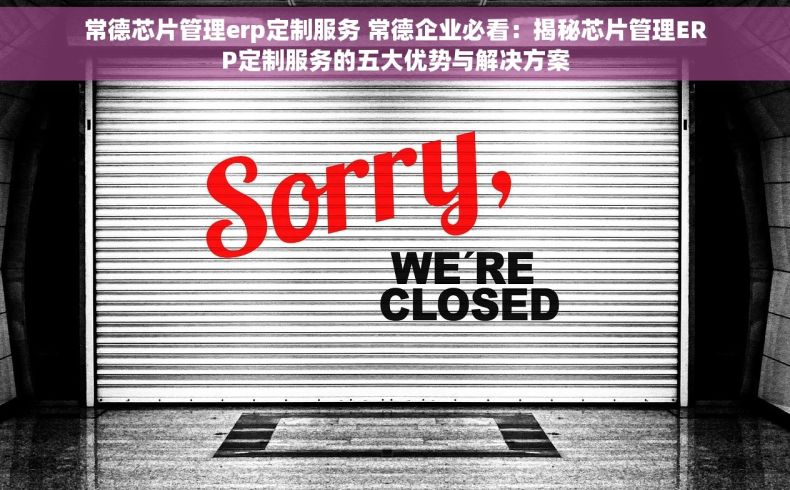常德芯片管理erp定制服务 常德企业必看：揭秘芯片管理ERP定制服务的五大优势与解决方案