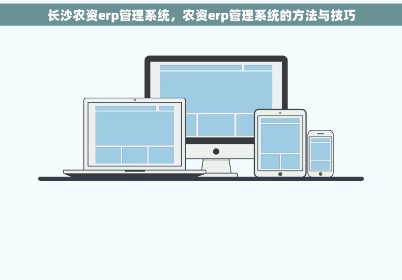 长沙农资erp管理系统，农资erp管理系统的方法与技巧