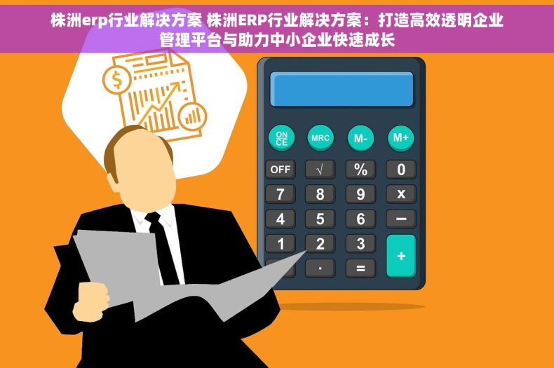 株洲erp行业解决方案 株洲ERP行业解决方案：打造高效透明企业管理平台与助力中小企业快速成长