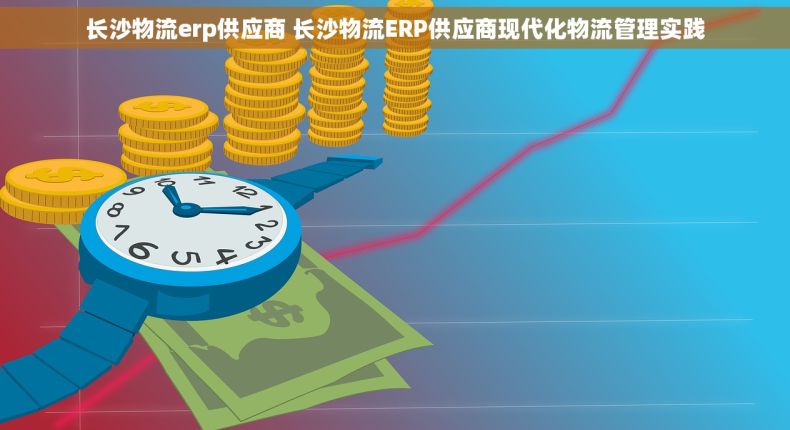 长沙物流erp供应商 长沙物流ERP供应商现代化物流管理实践