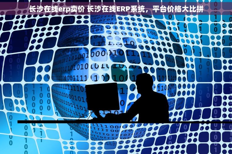 长沙在线erp卖价 长沙在线ERP系统，平台价格大比拼